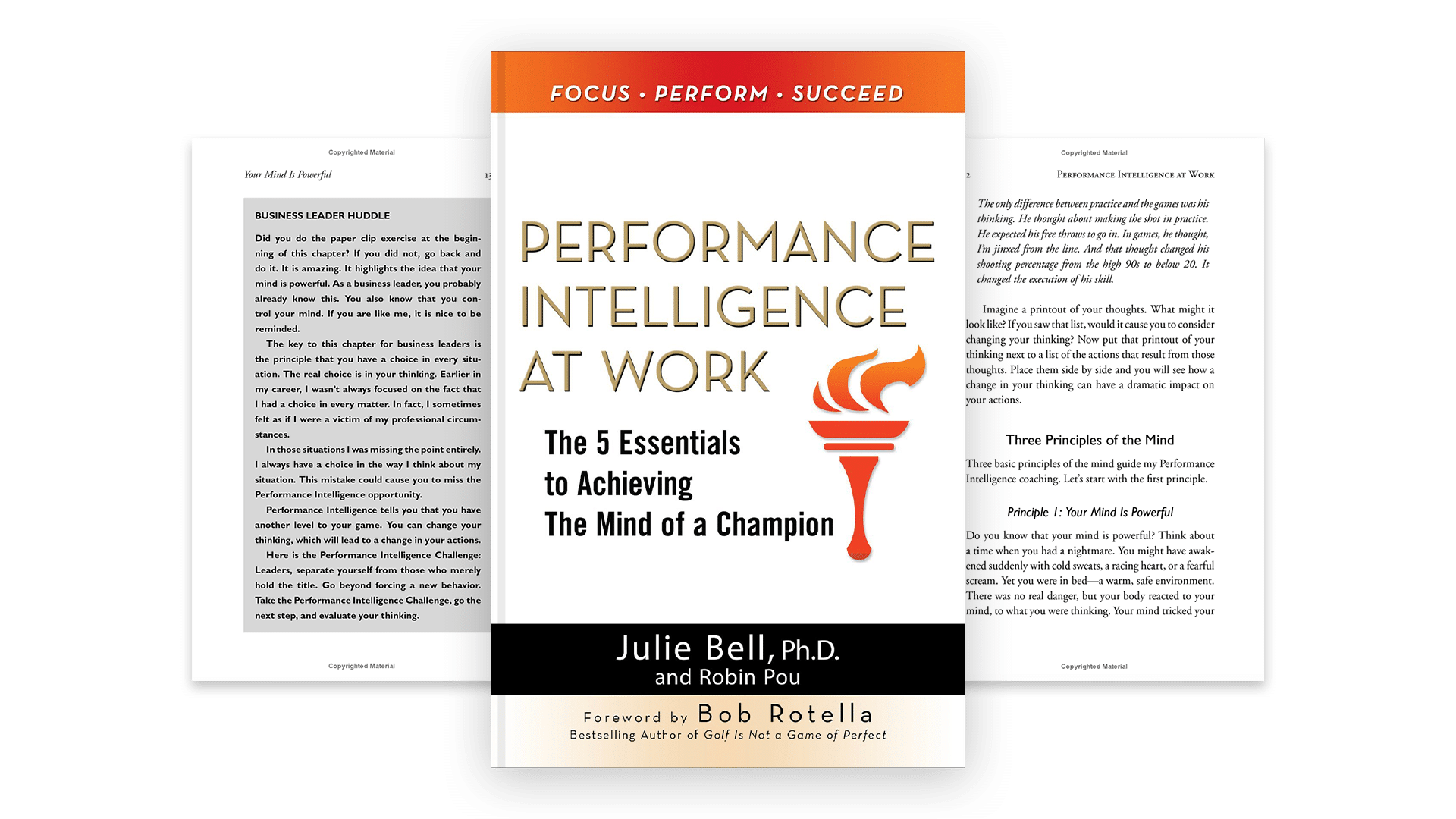 Performance Intellegence Image